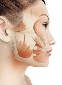 side illustration of a person's jaw